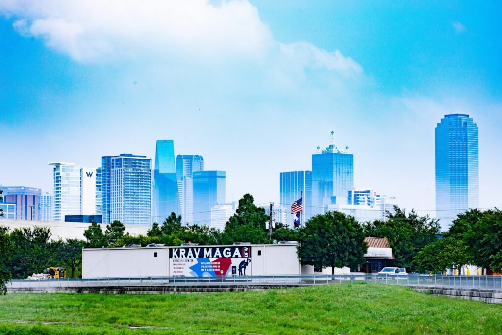 City skyline with grassy foreground