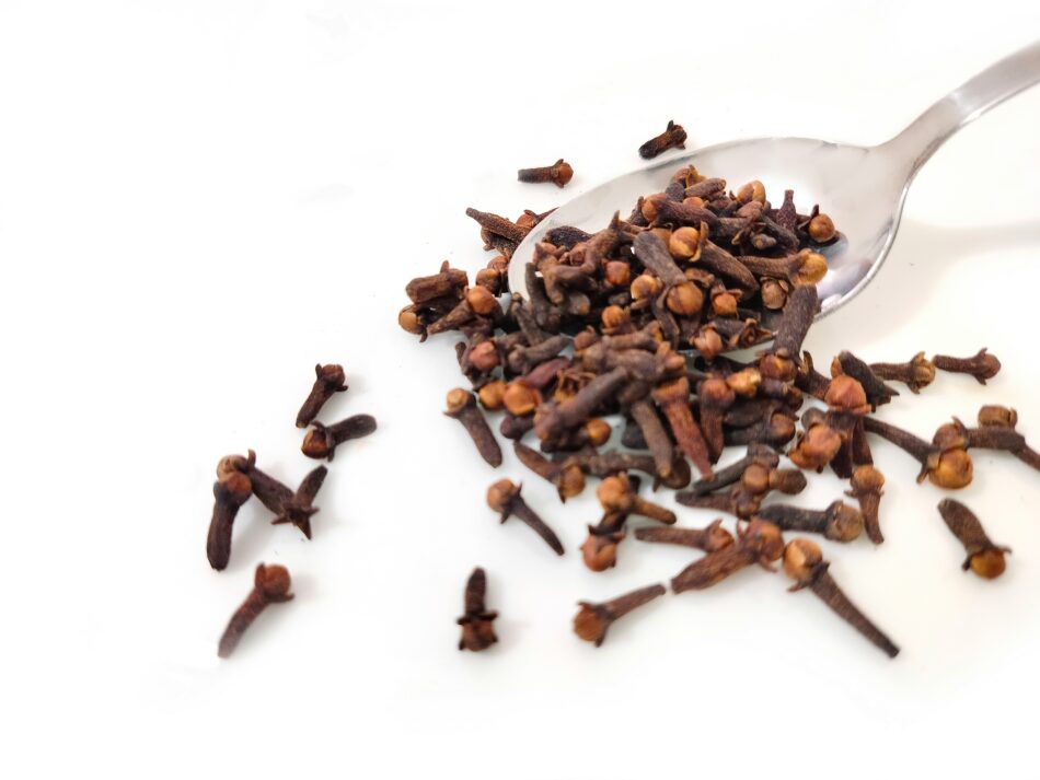 Cloves: Spice Up Your Kitchen