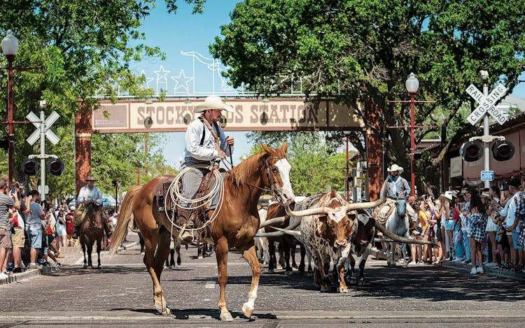 fort worth stockyards