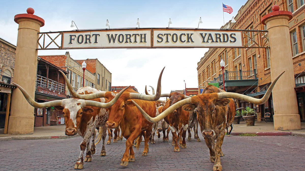 Fort Worth Stockyards: A Rich Tapestry of Texas Heritage