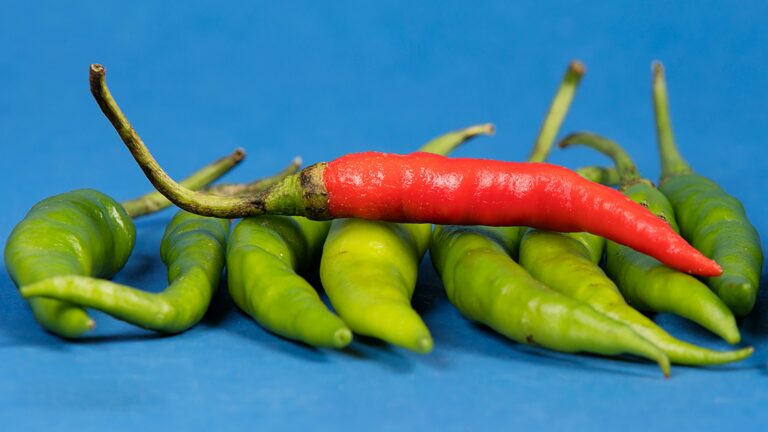 Green and red chili peppers