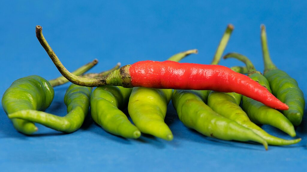 Green and red chili peppers